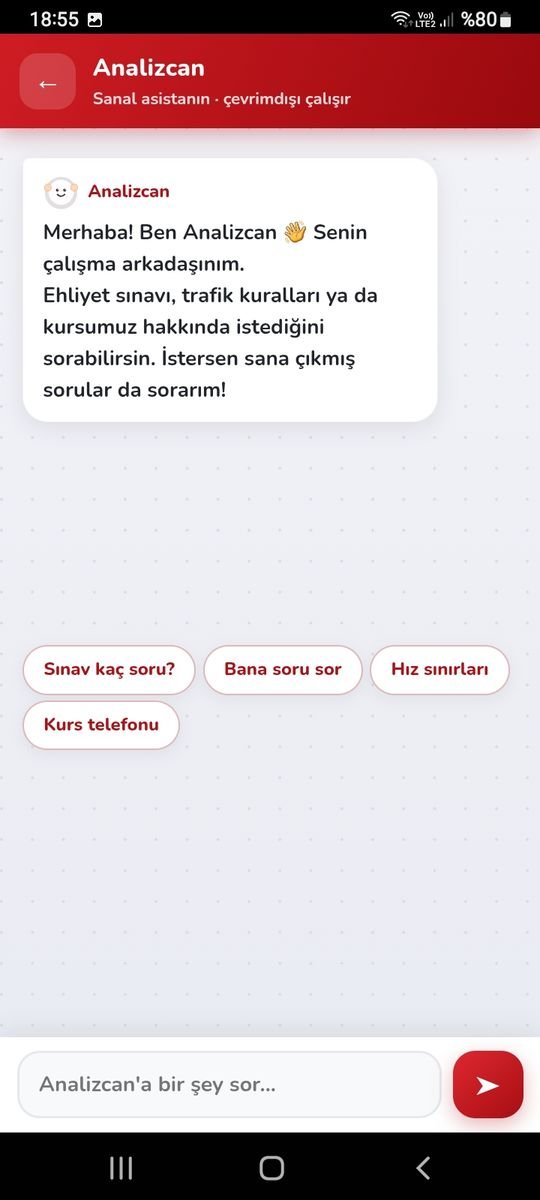 Uygulamadaki Analizcan asistan sohbet ekranı
